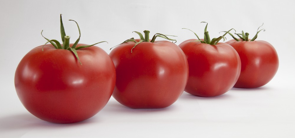 Sesja pomidorowa